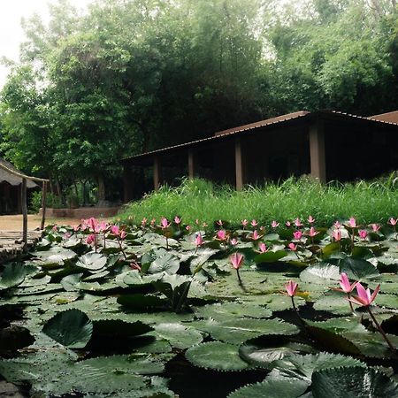 Hampi'S Whiskers Resort Zewnętrze zdjęcie