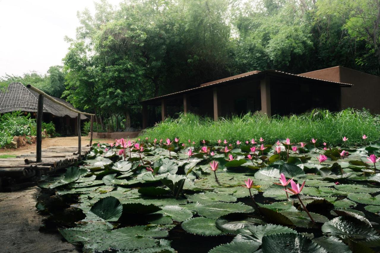 Hampi'S Whiskers Resort Zewnętrze zdjęcie